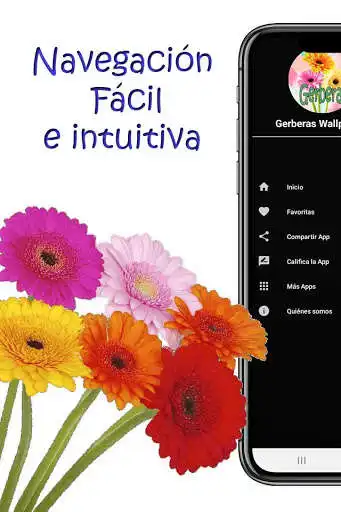 Play Gerberas Wallpapers  and enjoy Gerberas Wallpapers with UptoPlay