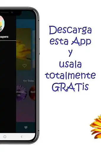 Play Gerberas Wallpapers as an online game Gerberas Wallpapers with UptoPlay