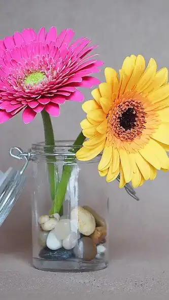 Play Gerbera Wallpaper as an online game online Gerbera Wallpaper with UptoPlay Play Gerbera Wallpaper as an online game Gerbera Wallpaper with UptoPlay