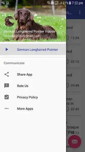 Play German Longhaired pointers and enjoy German Longhaired pointers with UptoPlay Play German Longhaired pointers and enjoy German Longhaired pointers with UptoPlay