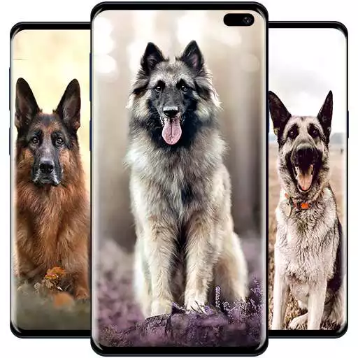 Free play online German Shepherd Wallpaper APK Free play online German Shepherd Wallpaper APK
