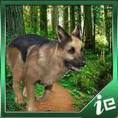 Free play online German Wolf Simulator APK