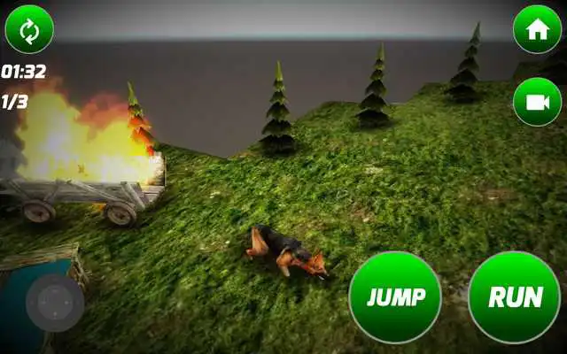 Play German Wolf Simulator Play German Wolf Simulator