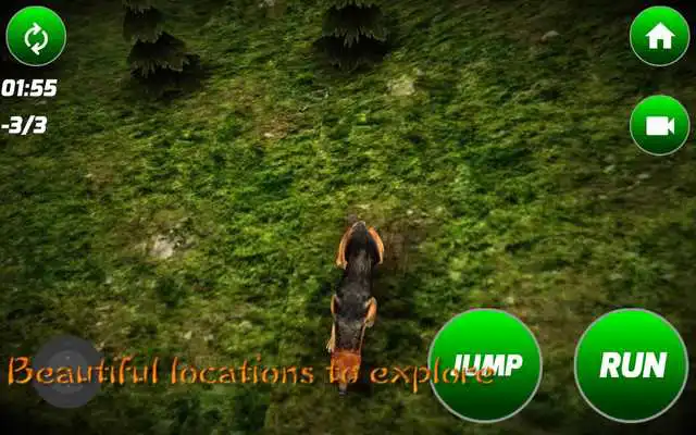 Play German Wolf Simulator Play German Wolf Simulator