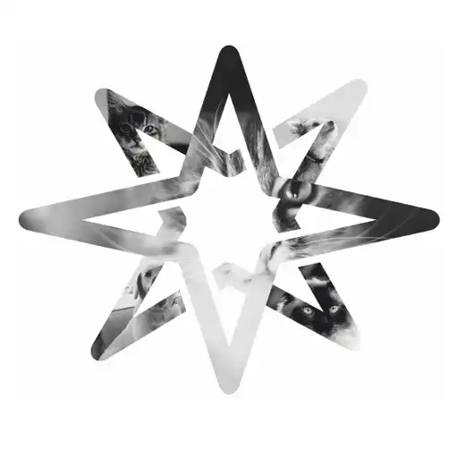 Play Geulincx APK