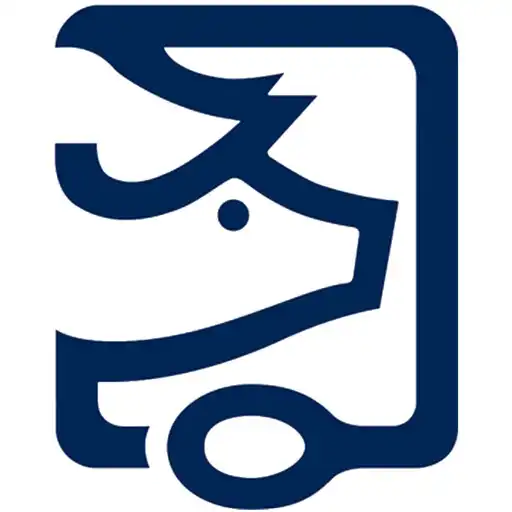 Play GFS Service APK