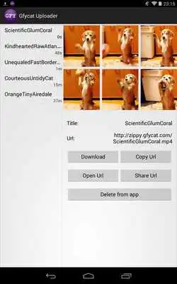 Play Gfycat Uploader Play Gfycat Uploader