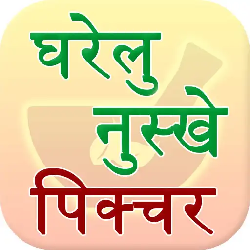 Play Gharelu Nuskhe Picture APK