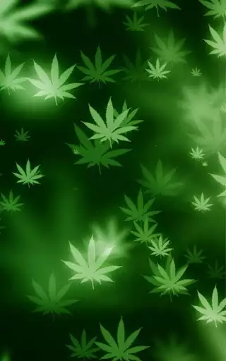 Play Ghetto Wallpapers