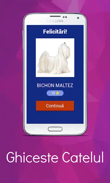 Play Ghiceste Catelul  and enjoy Ghiceste Catelul with UptoPlay