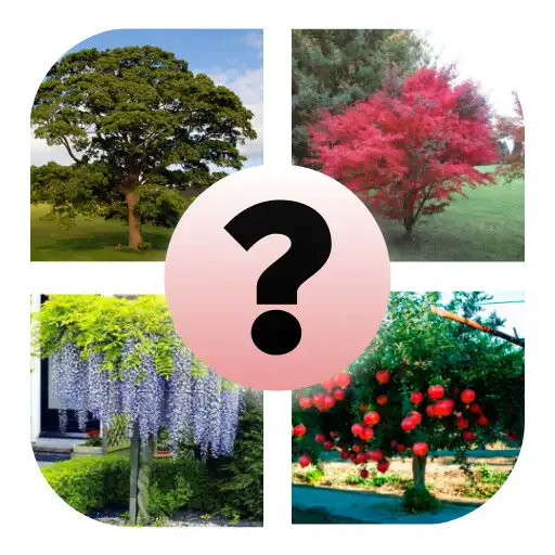 Play GHICESTE NATURA 2022 APK Play GHICESTE NATURA 2022 APK