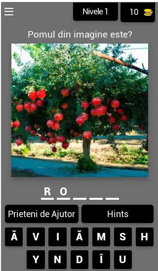 Play GHICESTE NATURA 2022  and enjoy GHICESTE NATURA 2022 with UptoPlay