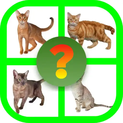 Play Ghiceste Pisica APK Play Ghiceste Pisica APK