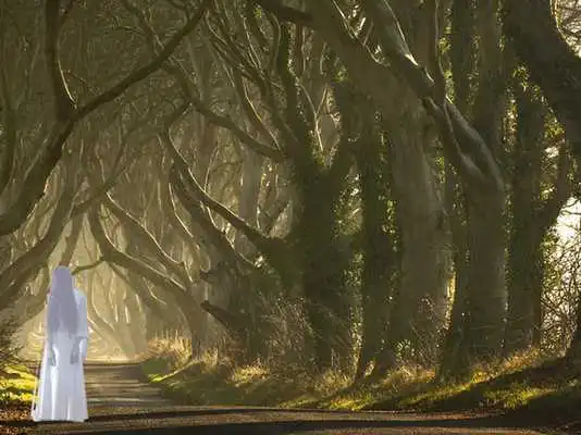 Play Ghost Caught Camera