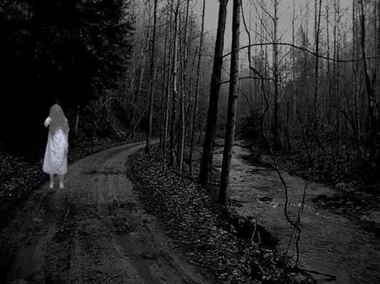 Play Ghost Caught Camera