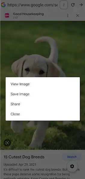 Play Ghost Incognito Browser  and enjoy Ghost Incognito Browser with UptoPlay
