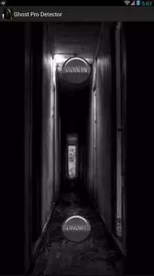 Play Ghost Pro Simulator