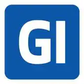 Free play online GI 2015 APK