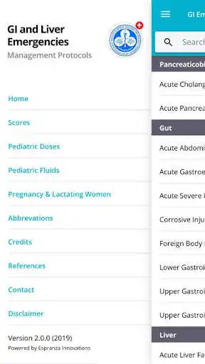 Play GI and Liver Emergencies as an online game GI and Liver Emergencies with UptoPlay