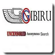 Free play online Gibiru Anonymous Search Engine  APK