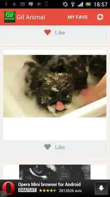 Play Gif Animal