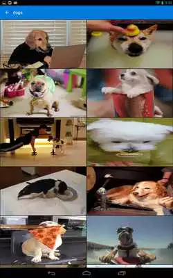 Play GIF Keyboard by Tenor