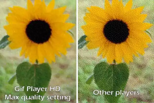 Play GIF Player HD