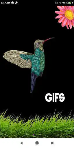 Play Gifs para Whatsapp  and enjoy Gifs para Whatsapp with UptoPlay