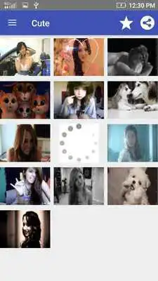 Play Gif stickers for Chat Apps