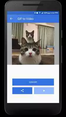 Play Gif to Video