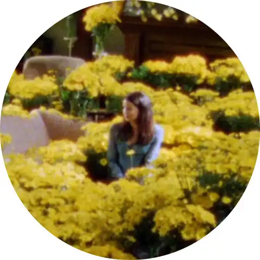 Play Gilmore Girls Quiz APK