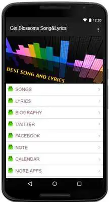 Play Gin Blossoms SongLyrics