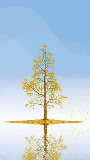 Play Ginkgo Tree Live Wallpaper