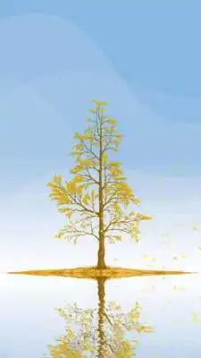Play Ginkgo Tree Live Wallpaper