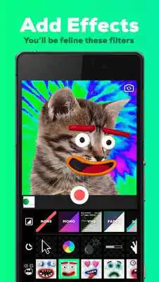 Play GIPHY CAM