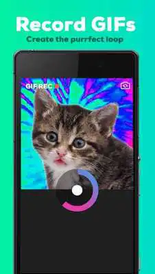 Play GIPHY CAM