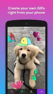Play GIPHY
