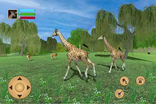 Play Giraffe Family Life Jungle Sim  and enjoy Giraffe Family Life Jungle Sim with UptoPlay