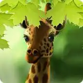 Free play online Giraffe HD Parallax Live Wallpaper Free APK Free play online Giraffe HD Parallax Live Wallpaper Free APK