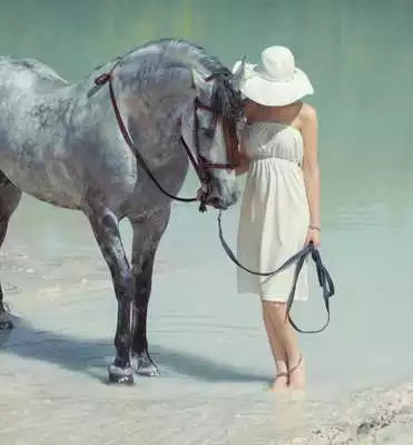 Play Girls and Horse wallpaper