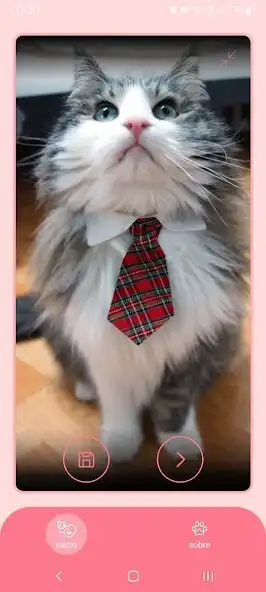 Play Give Me That Cat  and enjoy Give Me That Cat with UptoPlay