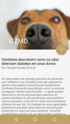 Play Gizmodo