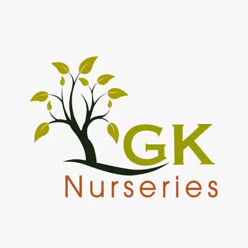 Play GK Nurseries APK
