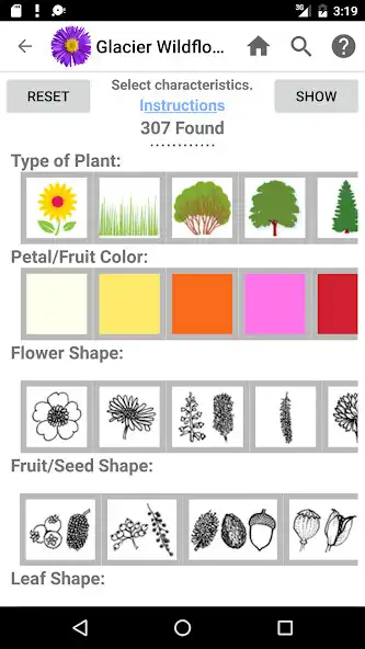 Play Glacier Wildflowers as an online game Glacier Wildflowers with UptoPlay