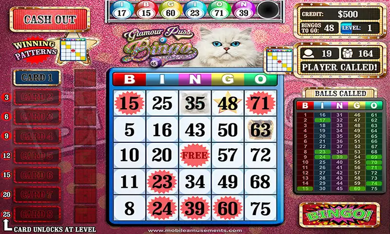 Play Glamour Puss Bingo  and enjoy Glamour Puss Bingo with UptoPlay