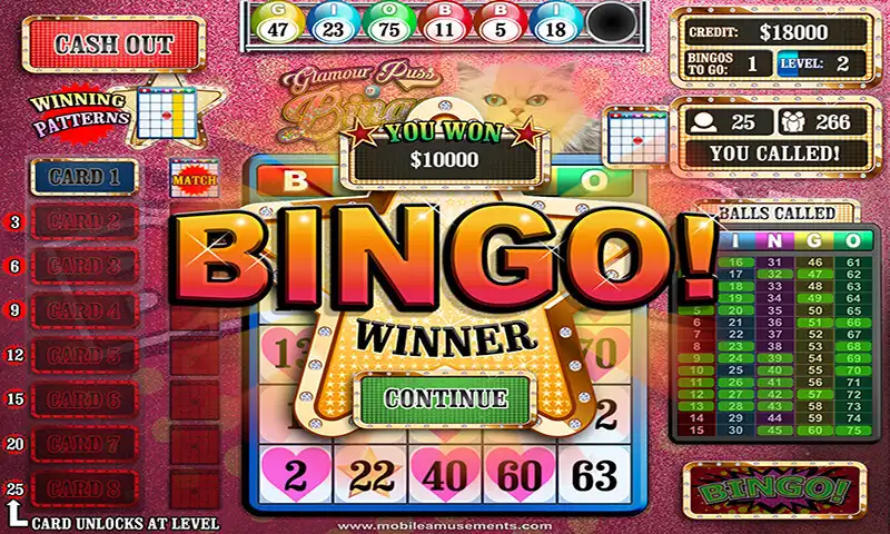 Play Glamour Puss Bingo as an online game Glamour Puss Bingo with UptoPlay