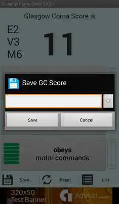 Play Glasgow Coma Scale (GCS)