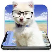 Free play online Glass Dog Theme For Phone X APK