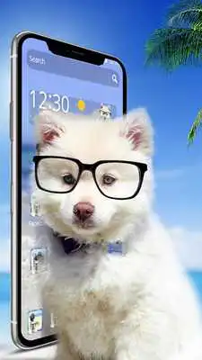 Play Glass Dog Theme For Phone X