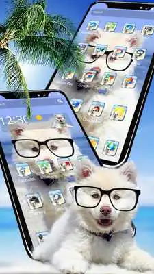 Play Glass Dog Theme For Phone X